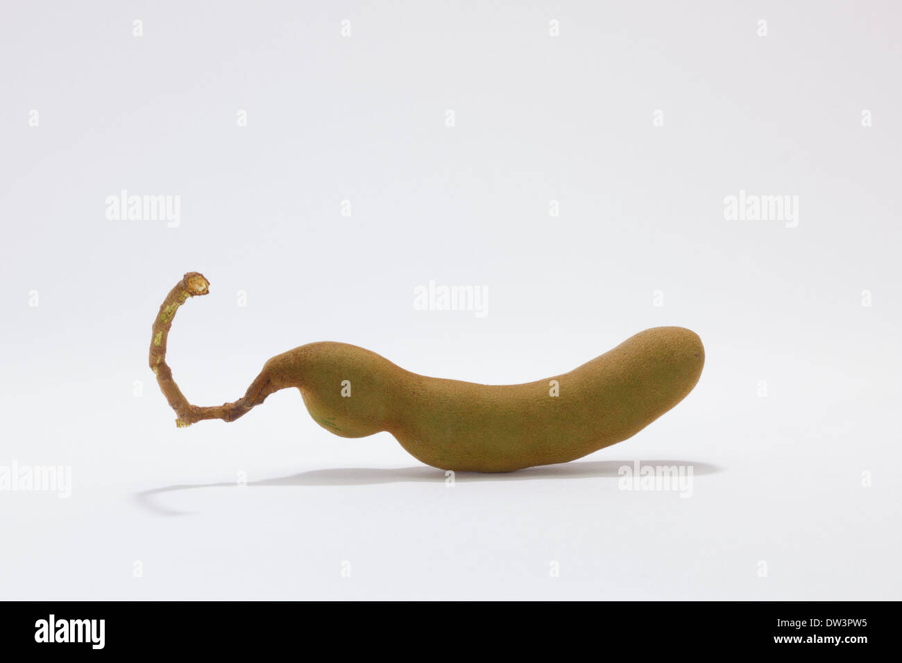 sour tamarind Stock Photo