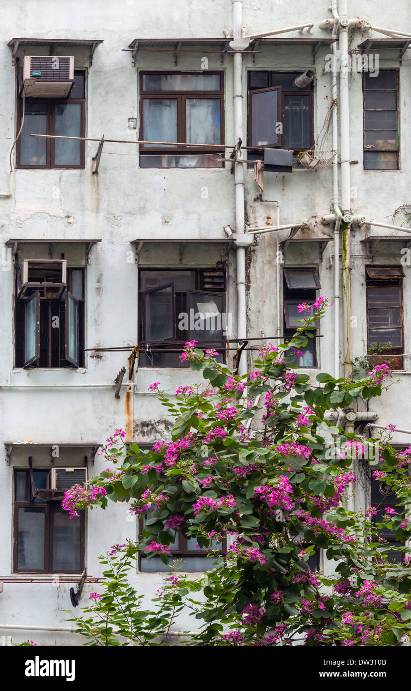 Apartments, Kennedy Town, Hong Kong Stock Photo Alamy