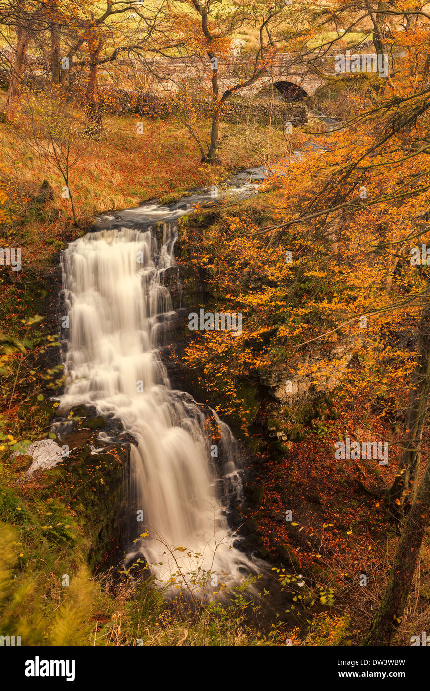 Scaleber Force Autumn waterfall yorkshire dales Stock Photo