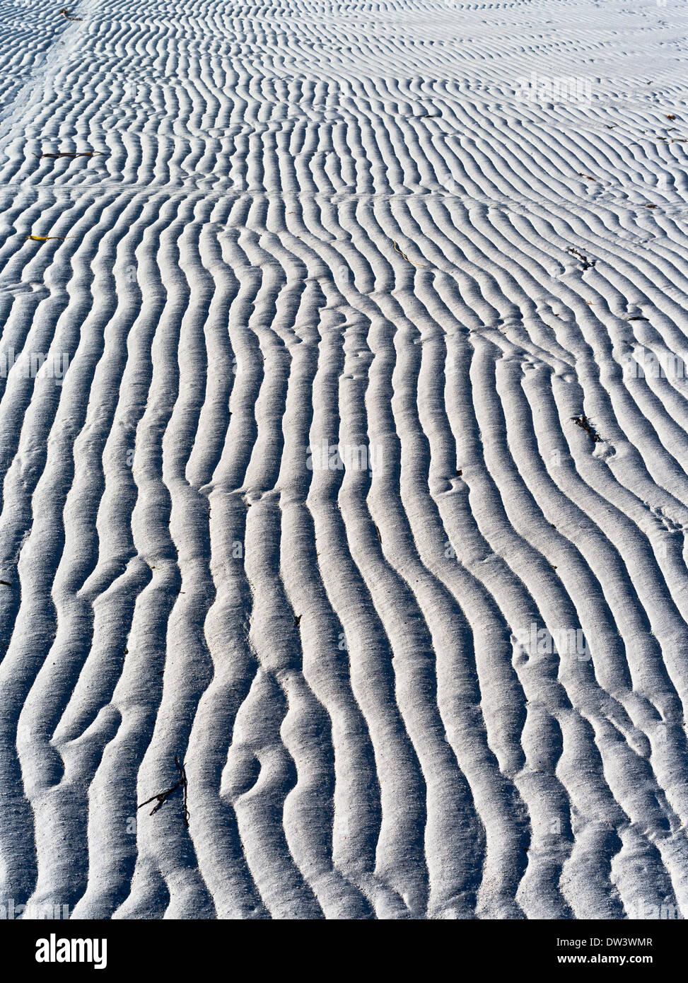 dh Beach sand patterns SANDAY ISLAND ORKNEY ISLES Abstract close up water pattern background from above Stock Photo
