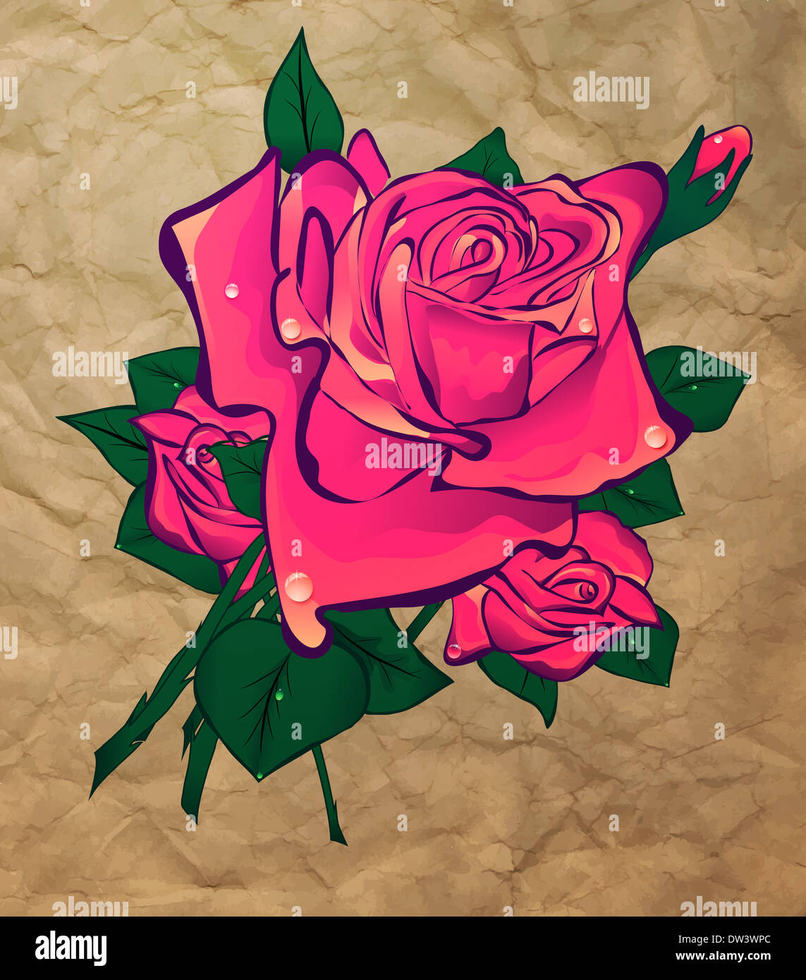rose on a background paper Stock Photo - Alamy