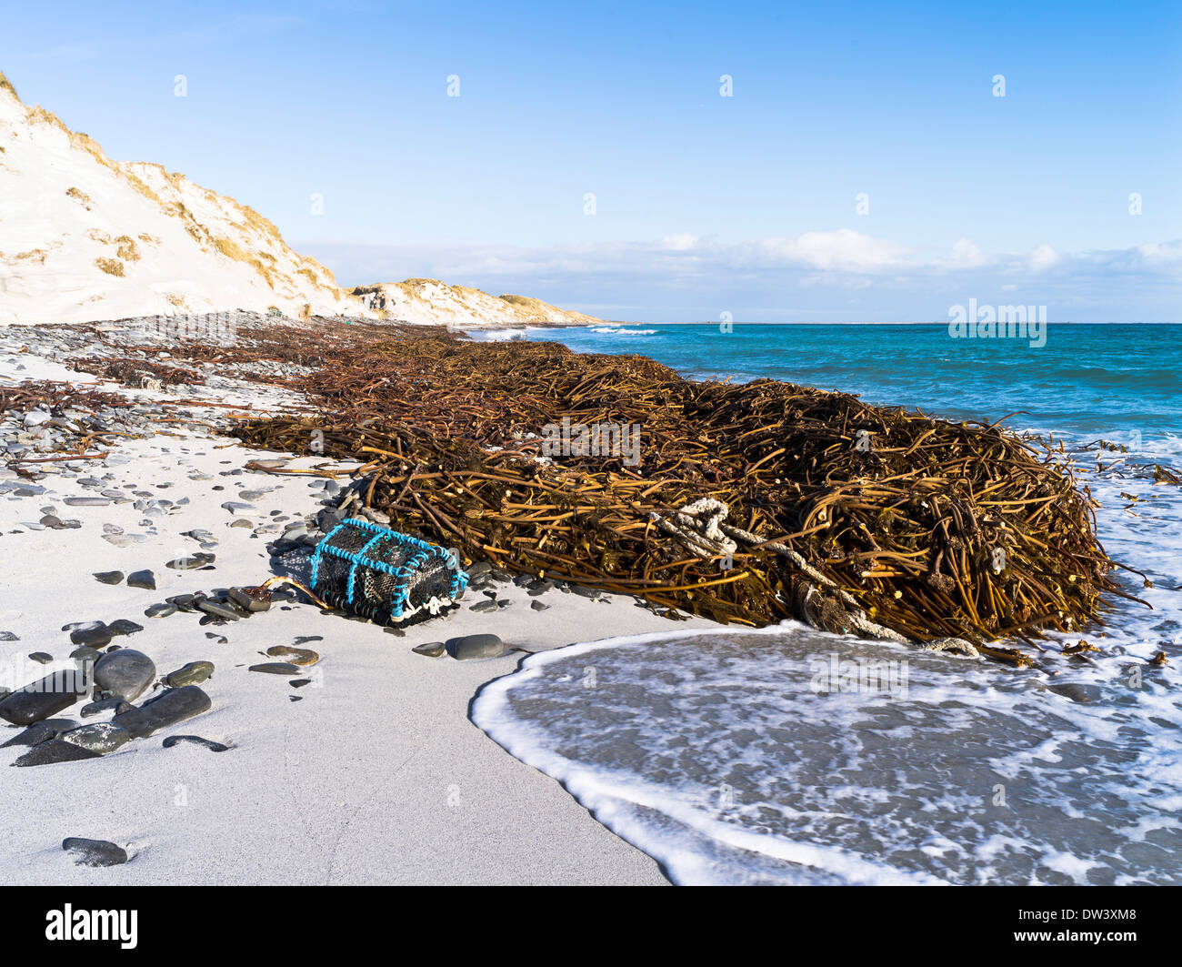dh Newark Bay SANDAY ORKNEY Kelp beach creel and sand dunes seaweed scotland north sea Stock Photo