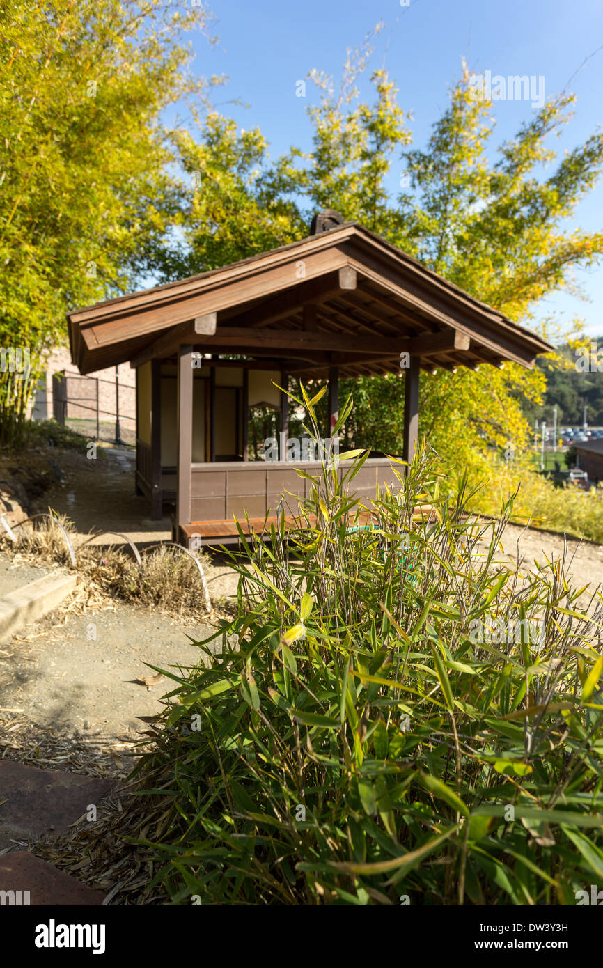 Bamboo Garden At Foothill College Los Altos Hills California