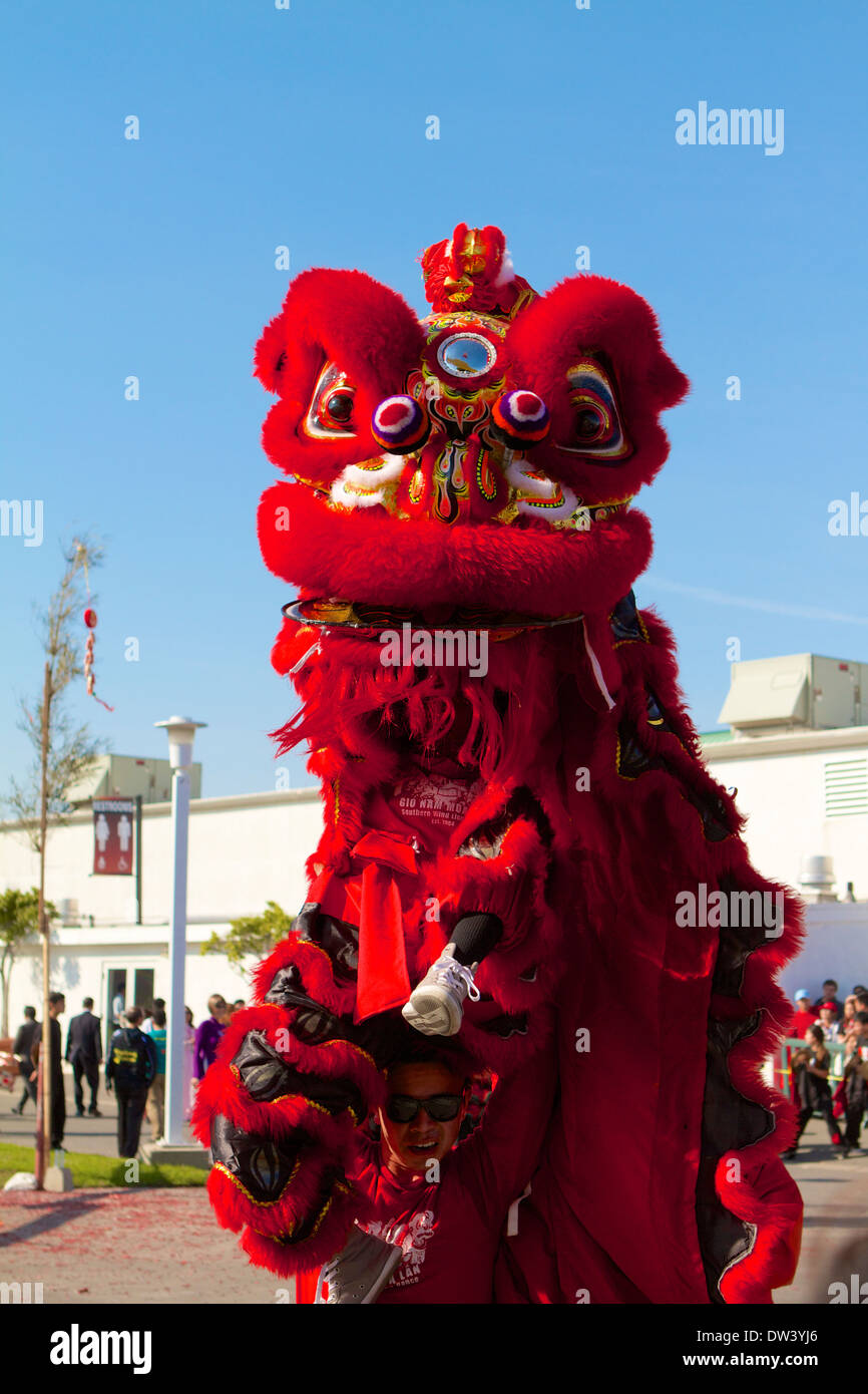 Traditional Vietnamese Lion dance performed at a Tet festival (lunar new year)  California supposedly to ward off evil spirits Stock Photo
