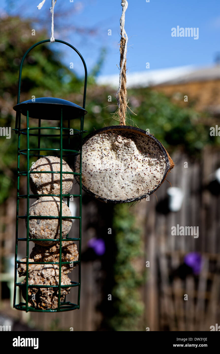 Bird Feeder Protector Stock Photos Bird Feeder Protector Stock