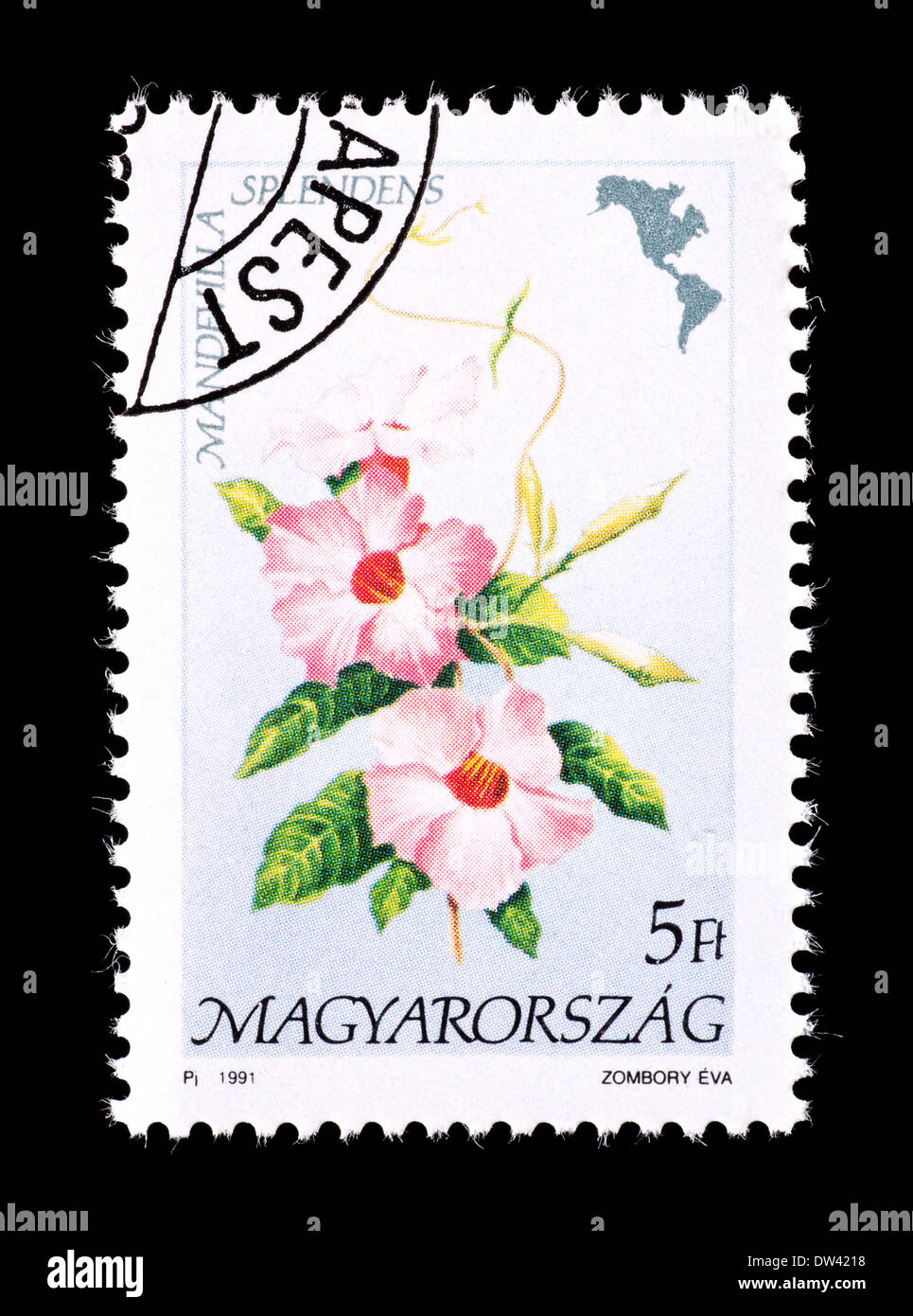 Postage stamp from Hungary depicting Mandevilla flowers (Mandevilla ...
