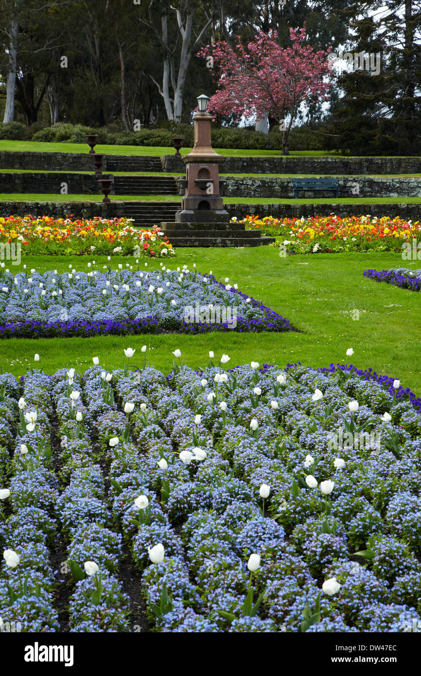 Spring flowers in Timaru Botanic Gardens, Timaru, South Canterbury, South Island, New Zealand
