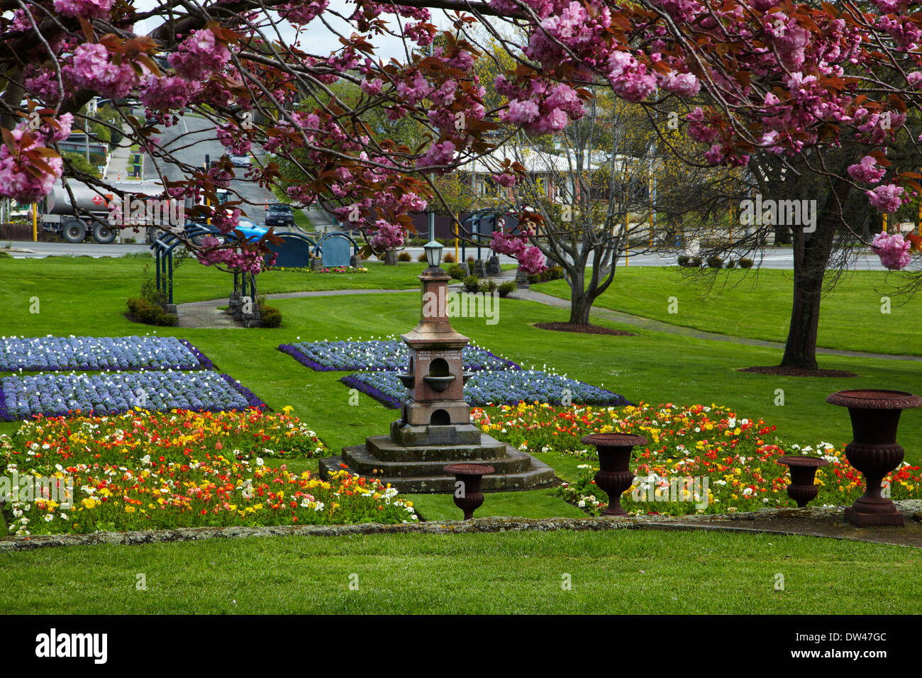 Spring flowers in Timaru Botanic Gardens, Timaru, South Canterbury, South Island, New Zealand