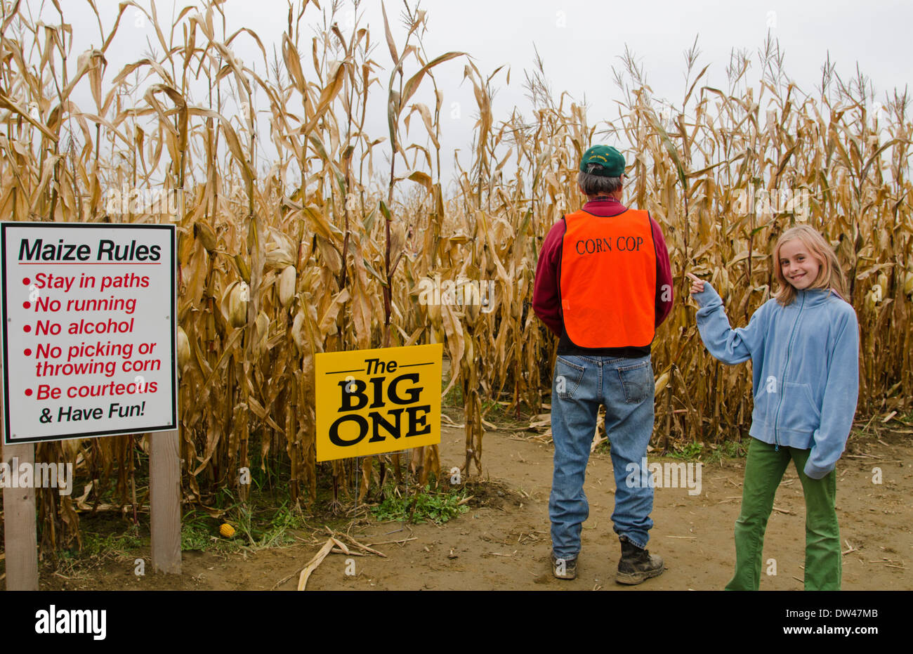 Child corn maze hires stock photography and images Alamy