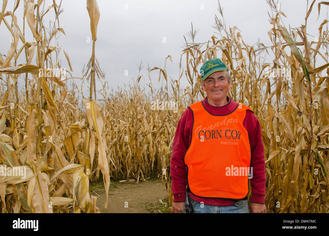 Farmington Maine fall activity Corn Maze in field with corn stalks and