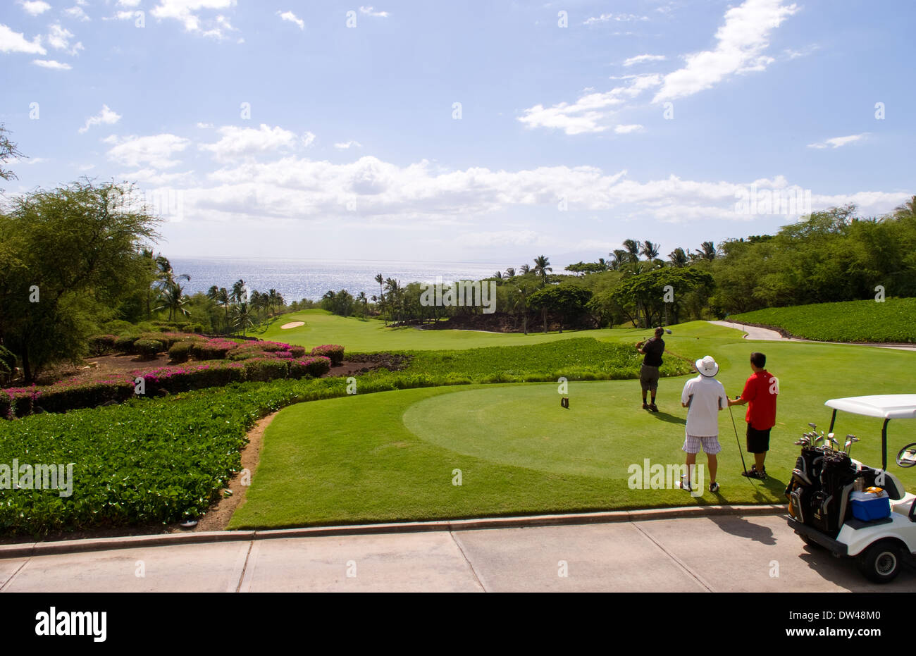 Golfer at exclusive beautiful Wailea Emerald Course hole 1 with palm