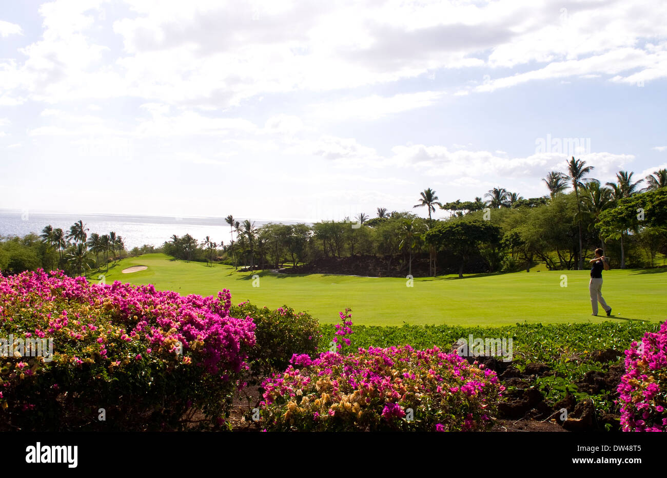 Golfer at exclusive beautiful Wailea Emerald Course hole 1 with palm