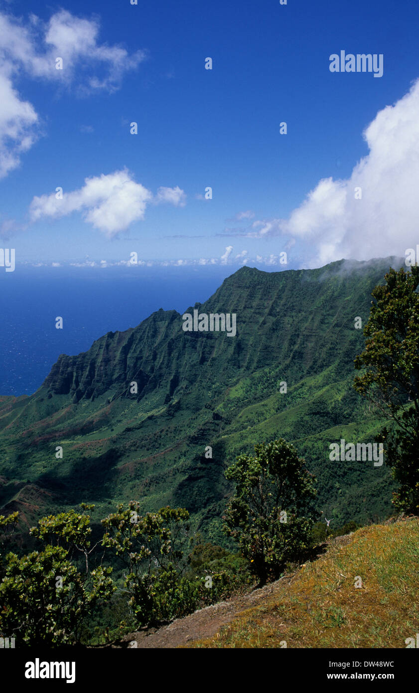 Kokee State Park in Honopu Valley Kauai Hawaii with mountains and green