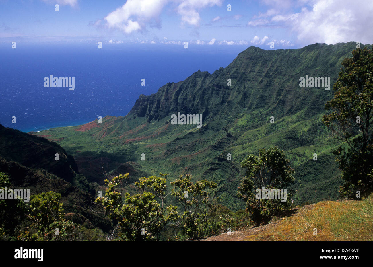 Kokee State Park in Honopu Valley Kauai Hawaii with mountains and green valeys USA Stock Photo