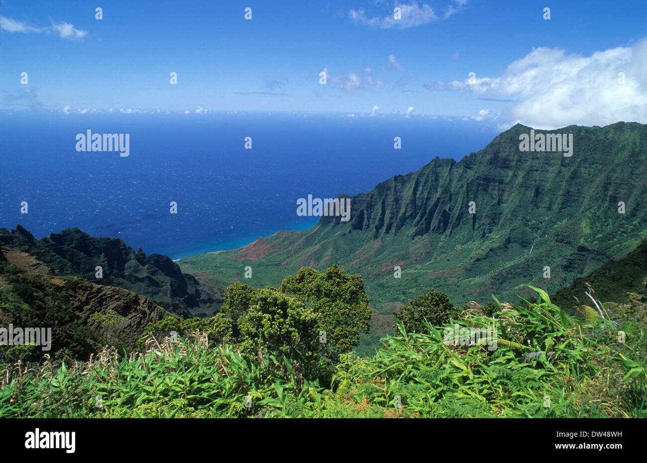Kokee State Park in Honopu Valley Kauai Hawaii with mountains and green