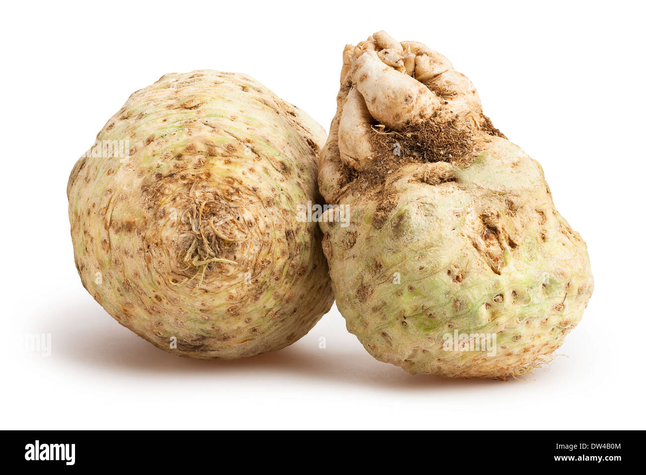 celery root isolated on white Stock Photo Alamy