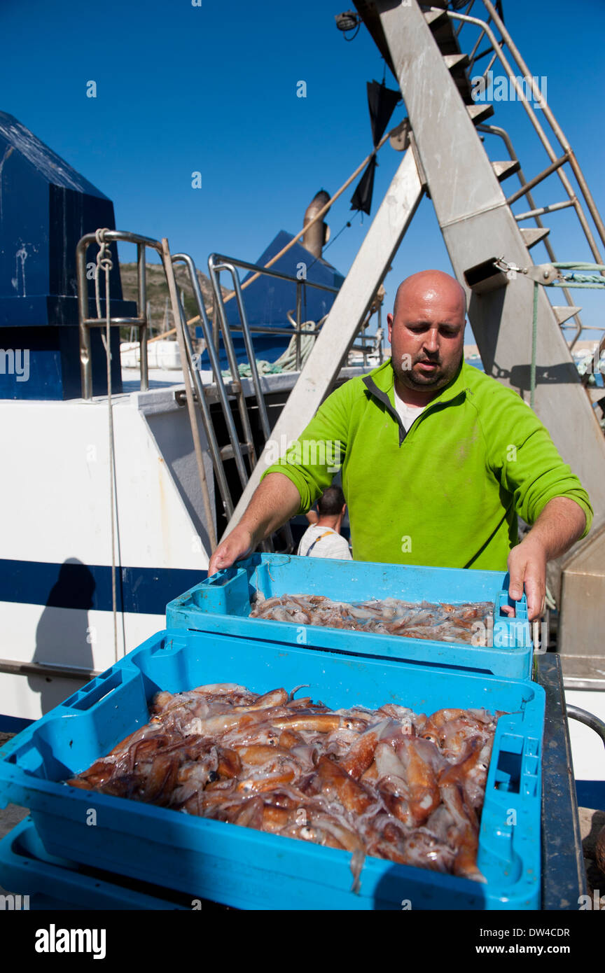 Fishermen unloading fish from trawlers at Xabia Stock Photo