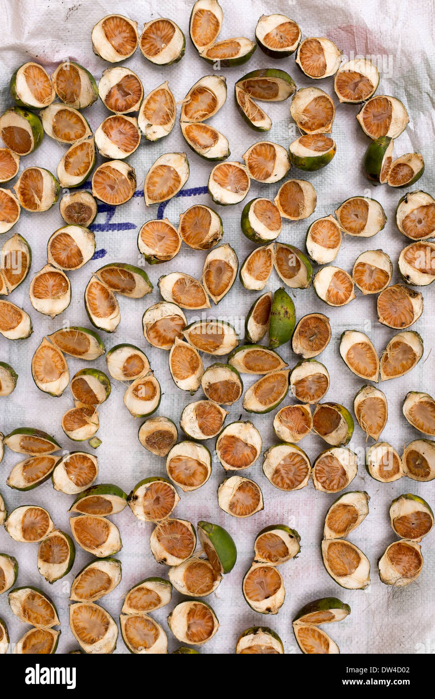 Nut shells hires stock photography and images Alamy