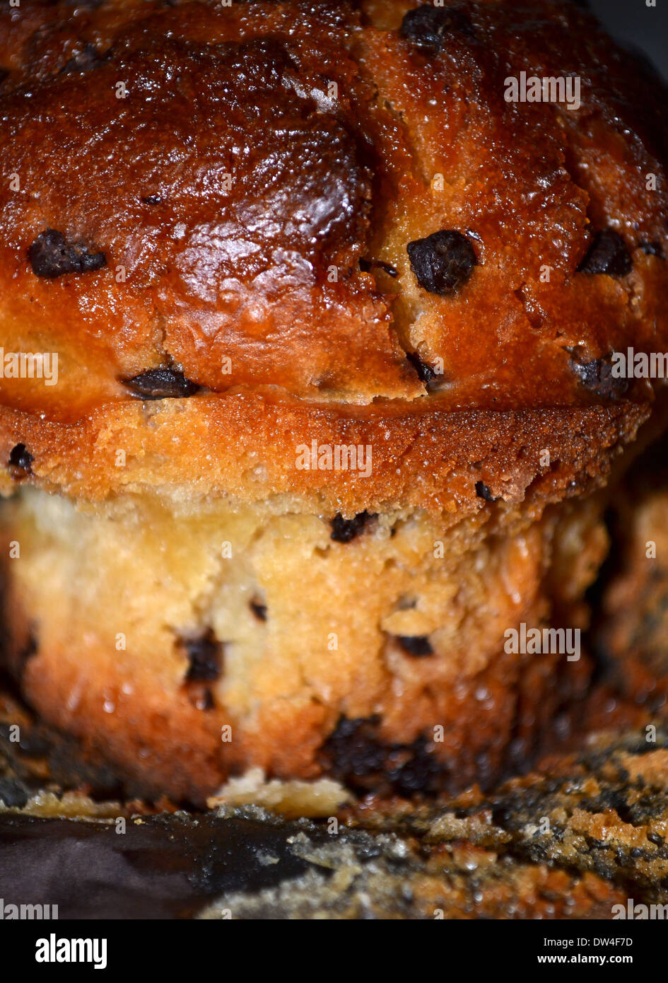 Choc Chip Muffin Stock Photo