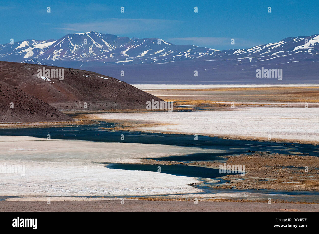 View Of The Laguna Santa Rosa Nevado Tres Cruces National Park Andes 