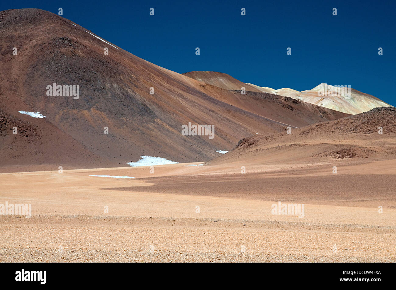 Los flamencos national reserve hi-res stock photography and images - Alamy