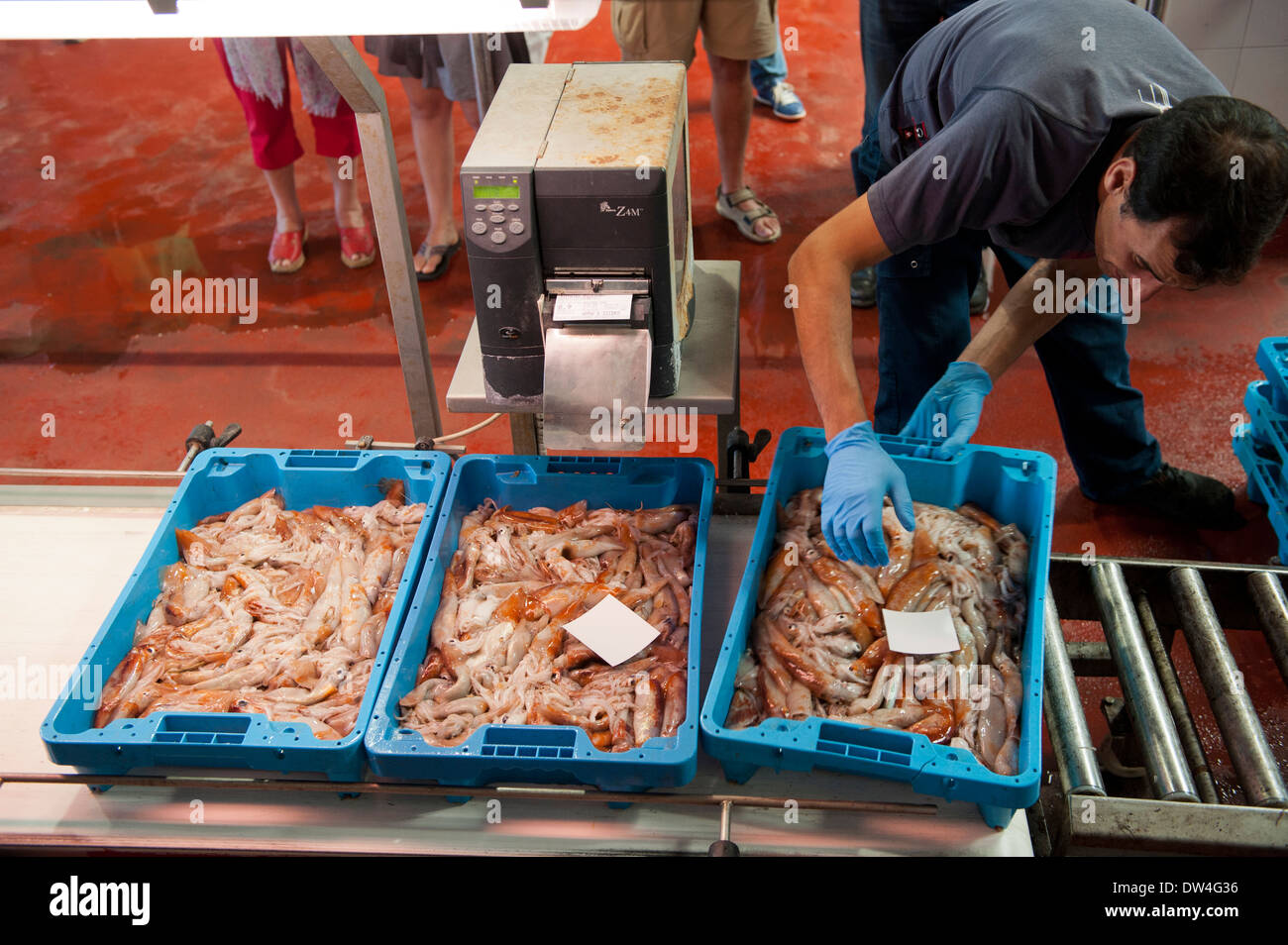 Cod Fish Processing Plant Seafood Processing Stock Photos & Seafood Processing Stock Images - Alamy