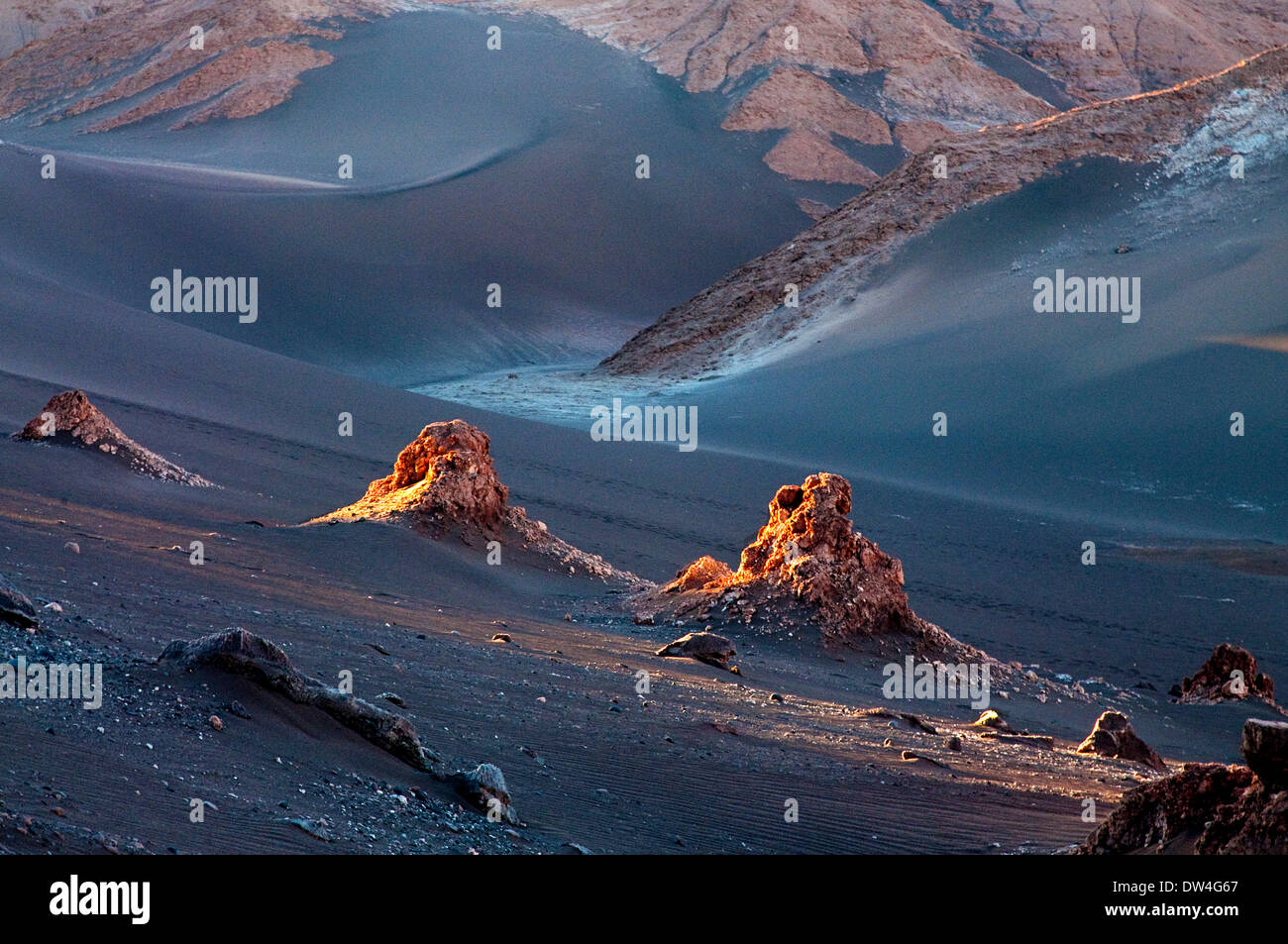 Reserva nacional los flamencos hi-res stock photography and images - Alamy