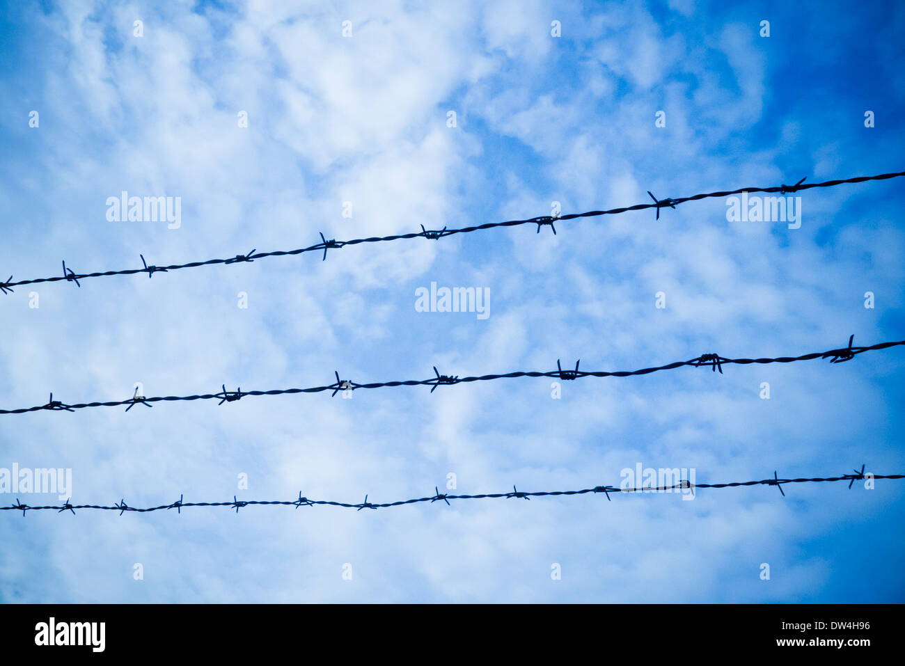 barbed wire and blue sky with white clouds Stock Photo - Alamy