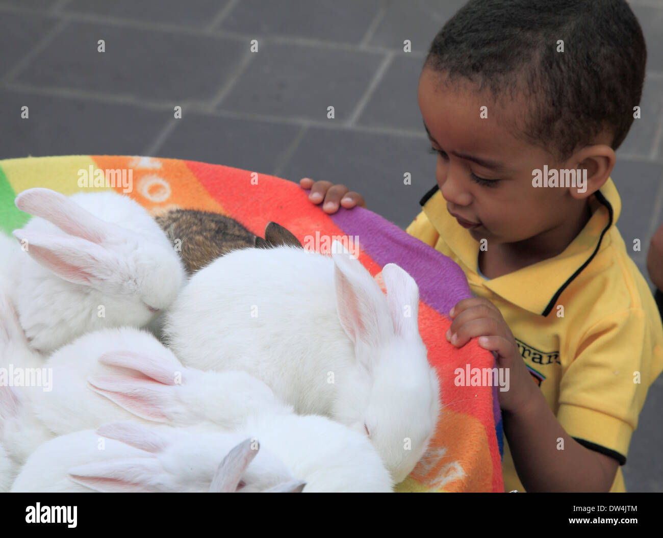 Qatar doha souq waqif rabbits hi-res stock photography and images - Alamy