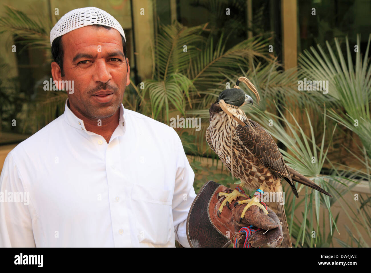 Qatar, Doha, Souq Waqif, man with falcon, Stock Photo