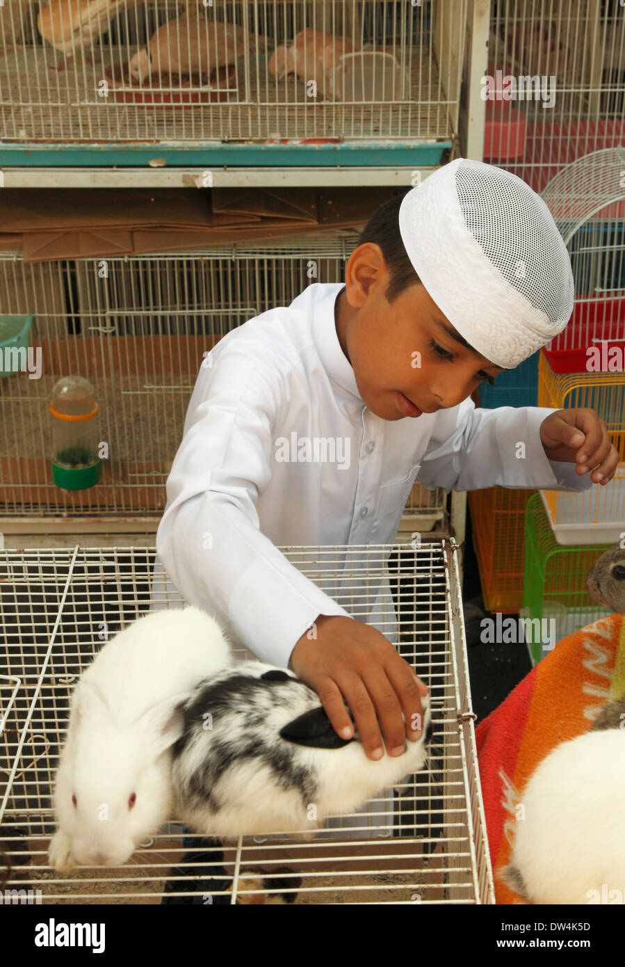 Qatar, Doha, Souq Waqif, animal market, rabbits, boy Stock Photo Alamy