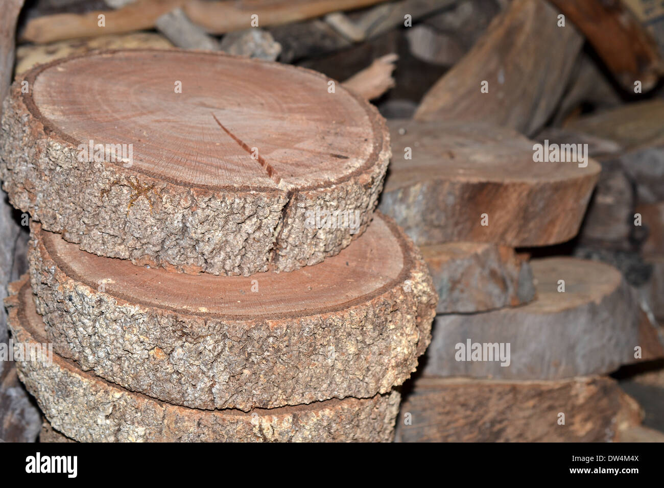 log cut into discs for arts and craft purposes Stock Photo Alamy