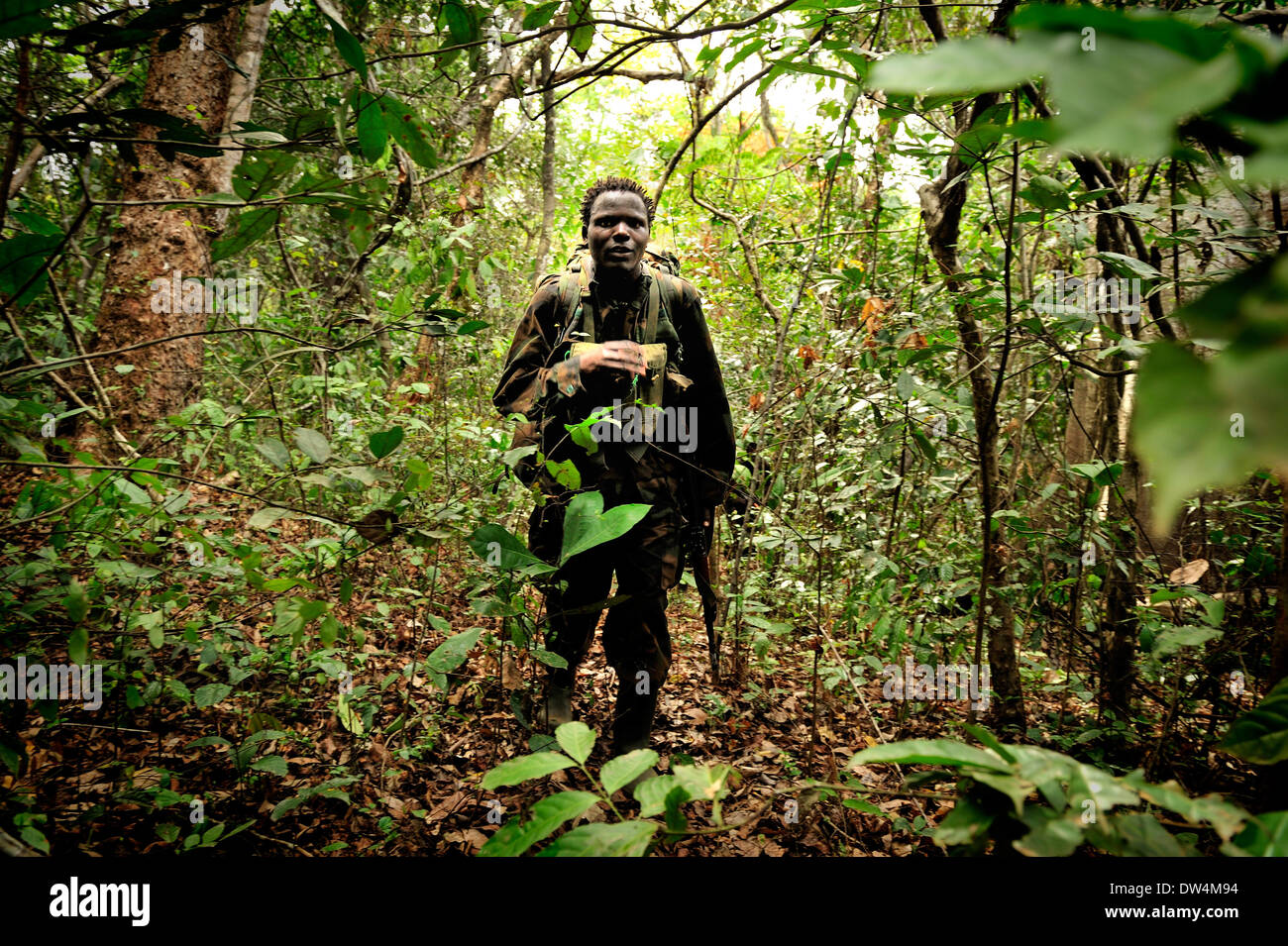 Ugandan soldiers of the Uganda People's Defence Force (UPDF) patrol through the Central African jungle during an operation to hunt notorious Lord's Resistance Army (LRA) leader Joseph Kony. The LRA is a Christian militant rebel group. Stock Photo