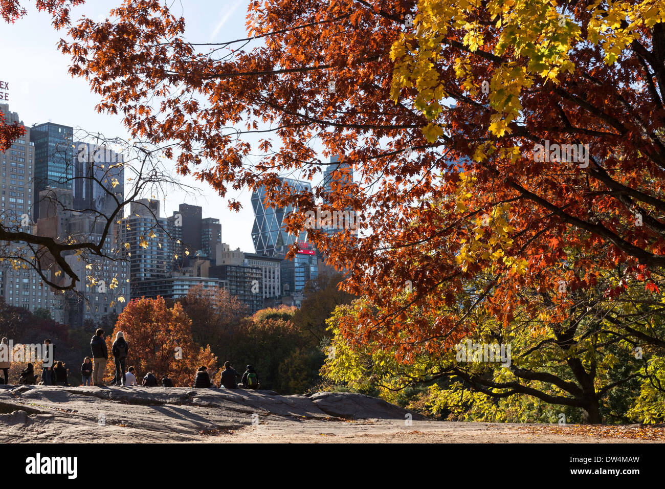 Central Park with Fall Foliage and Skyline in the Background, NYC Stock Photo
