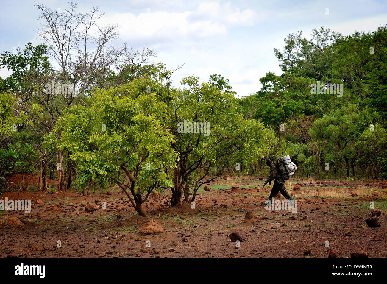 Ugandan soldiers of the Uganda People's Defence Force (UPDF) patrol through the Central African jungle during an operation to hunt notorious Lord's Resistance Army (LRA) leader Joseph Kony. The LRA is a Christian militant rebel group. Stock Photo