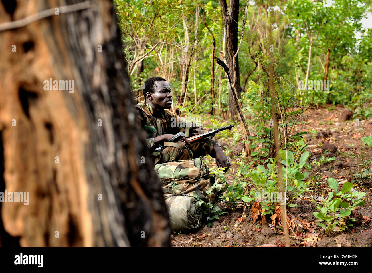 Ugandan soldiers of the Uganda People's Defence Force (UPDF) patrol through the Central African jungle during an operation to hunt notorious Lord's Resistance Army (LRA) leader Joseph Kony. The LRA is a Christian militant rebel group. Stock Photo