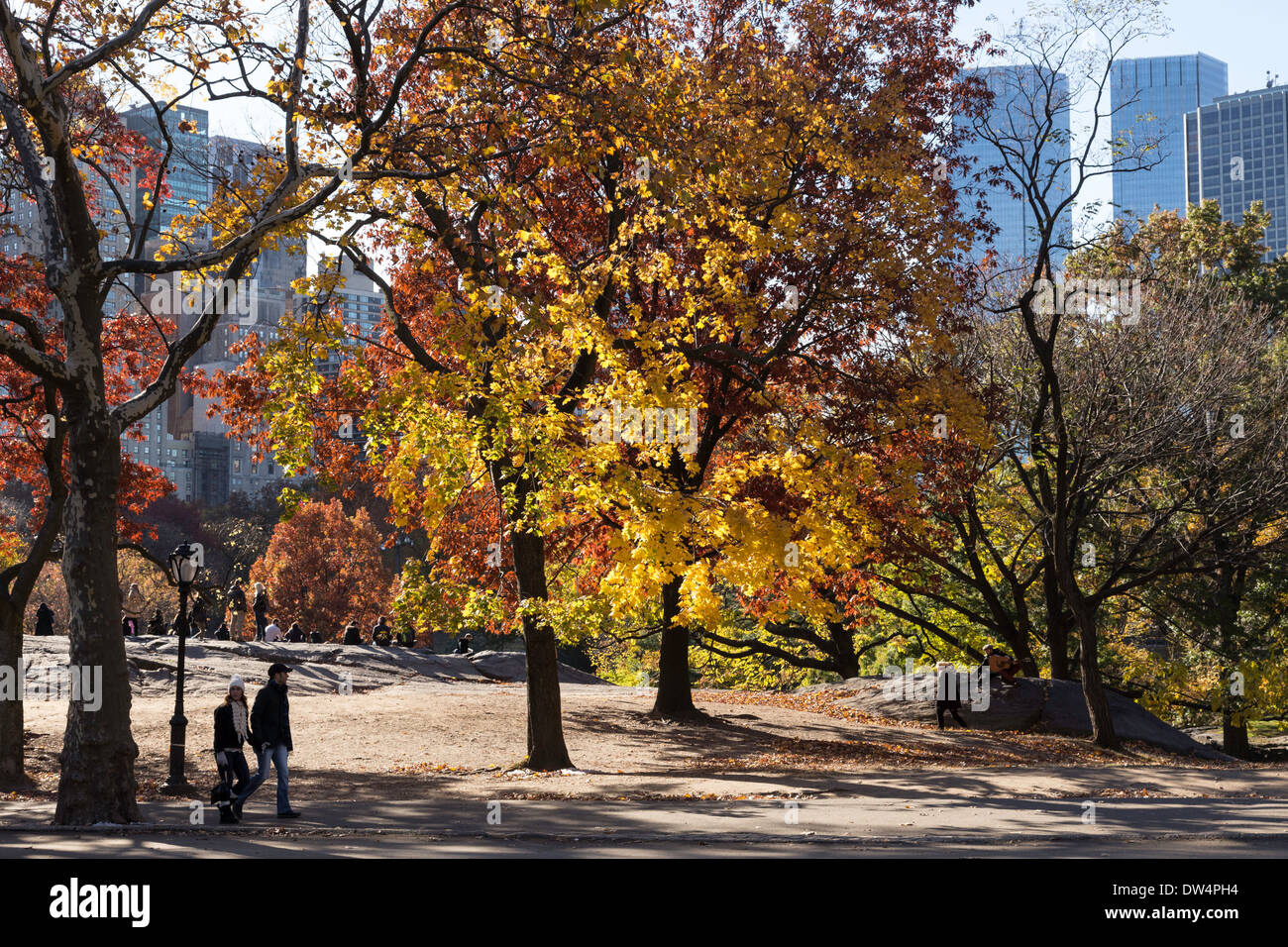 Central Park with Fall Foliage, NYC Stock Photo