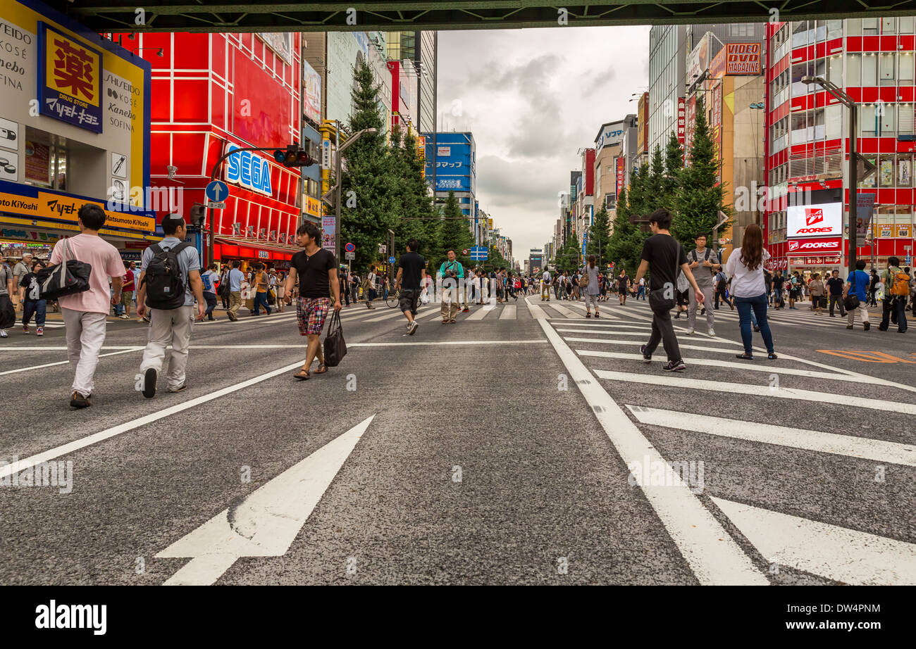 Akihabara Electric Town aka Akiba, Chiyoda district. Tokyo. Japan Stock Photo