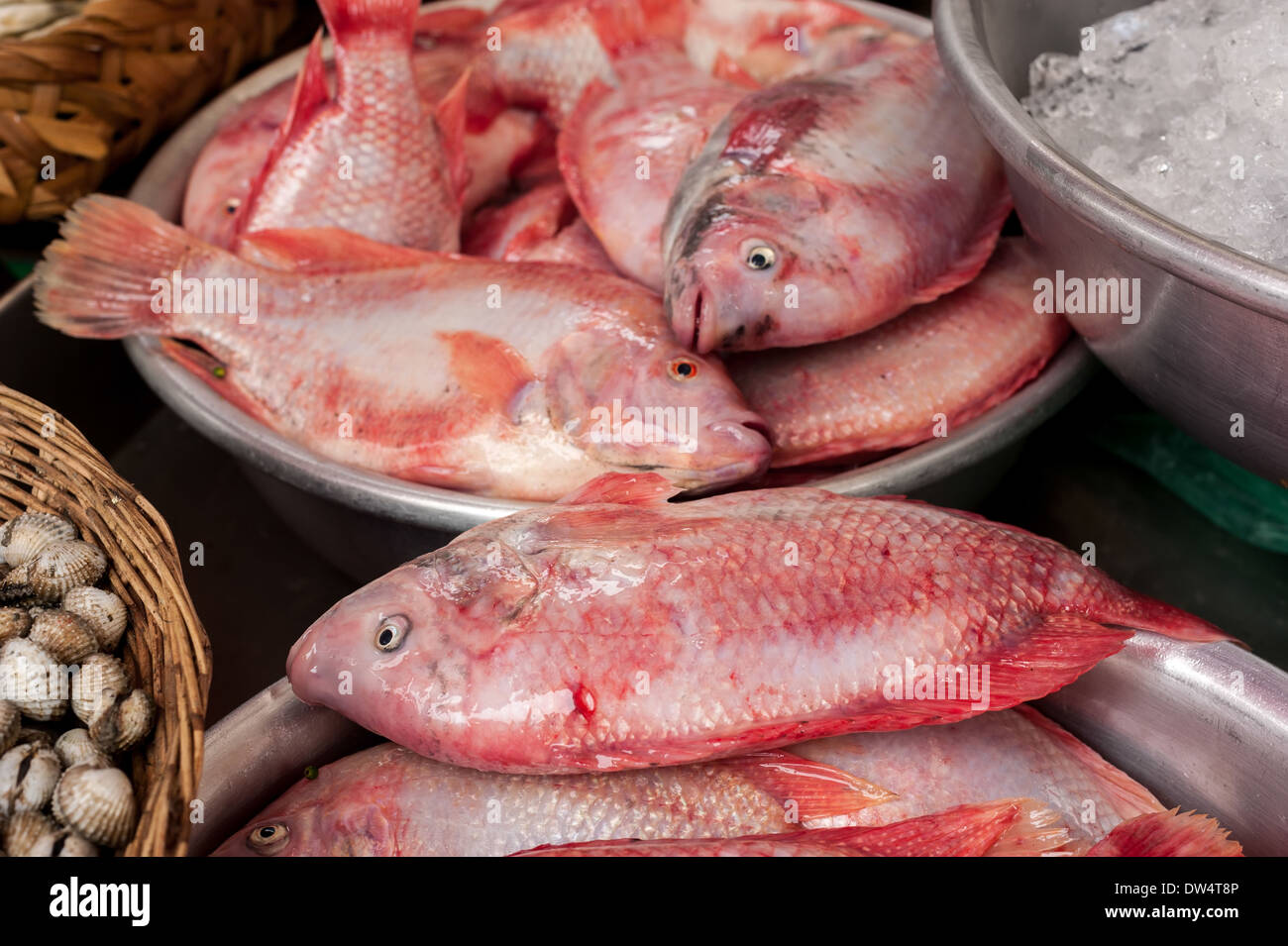Raw fresh seafood, fish and clams for sale at asian food market Stock Photo