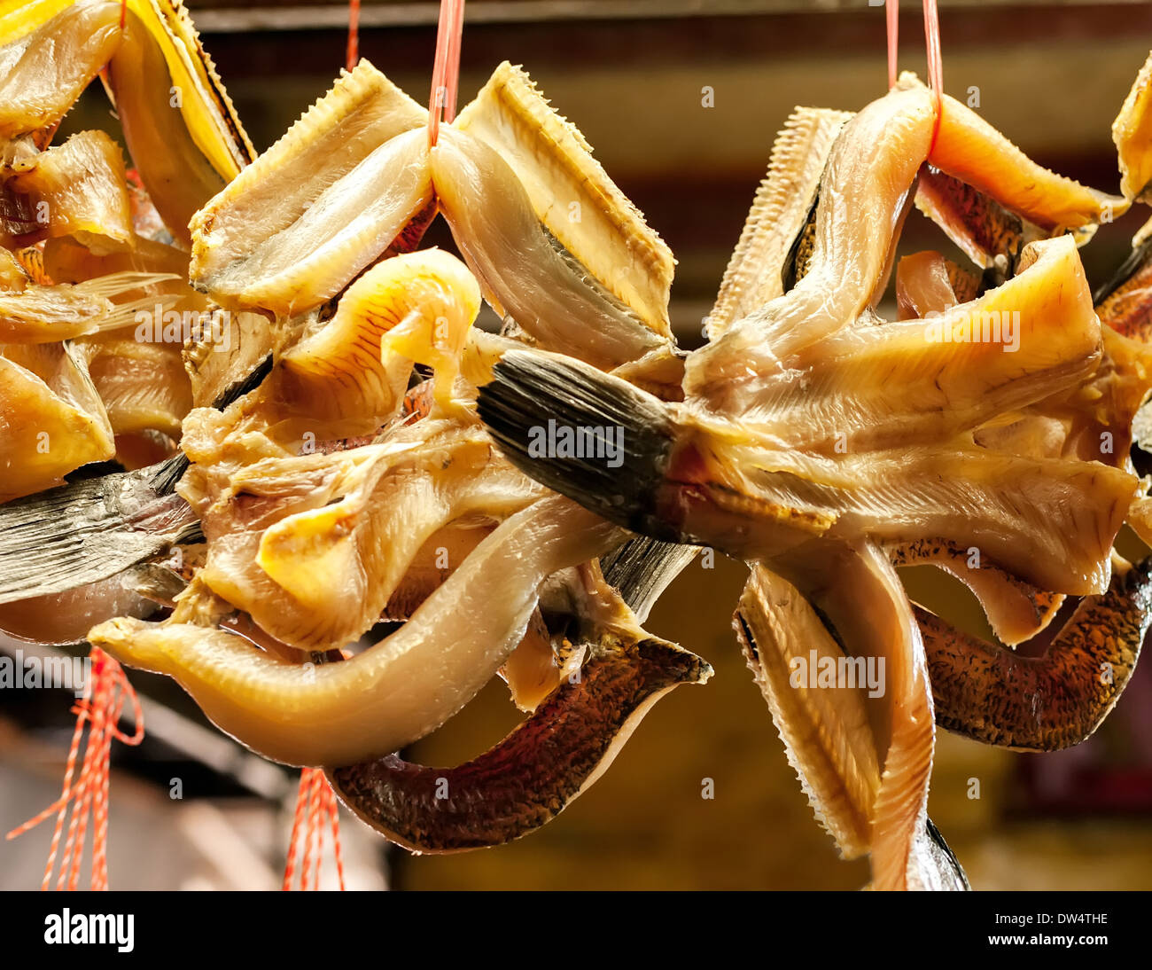 Dried fish for sale hanging at asian food market Stock Photo