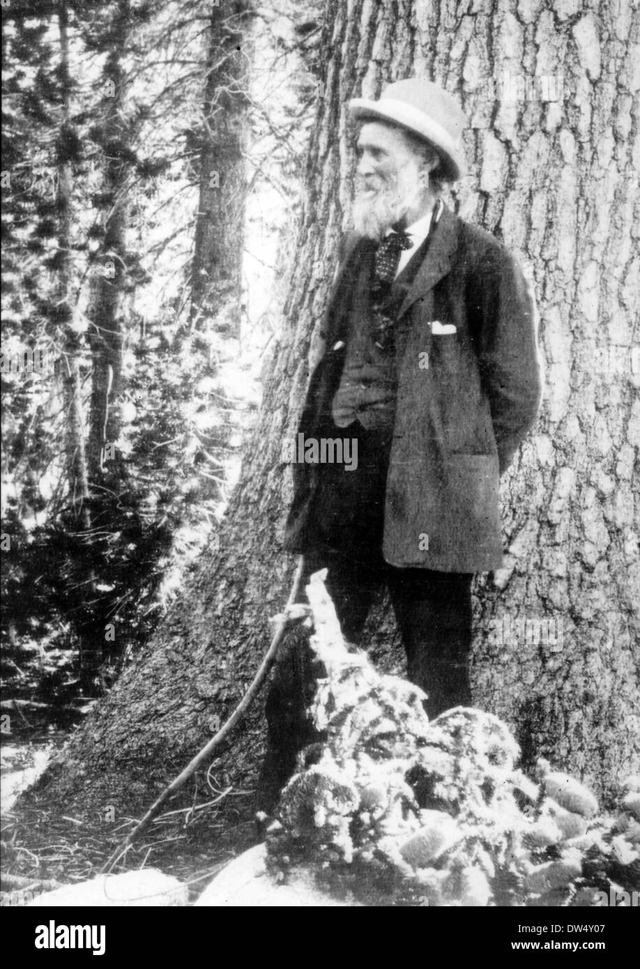 JOHN MUIR (1838-1914) Scottish-American naturalist and wilderness campaigner Stock Photo