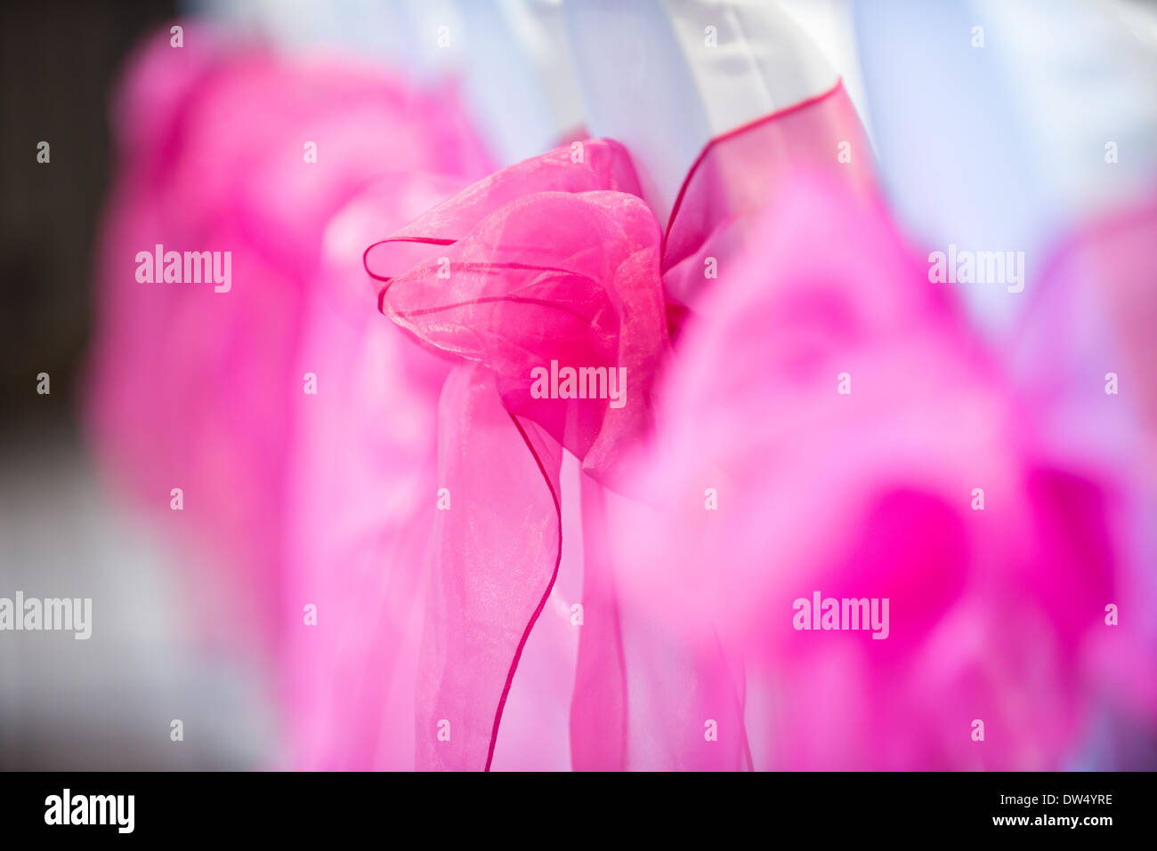 A shallow focus image of pink bows tied to white chair backs Stock Photo