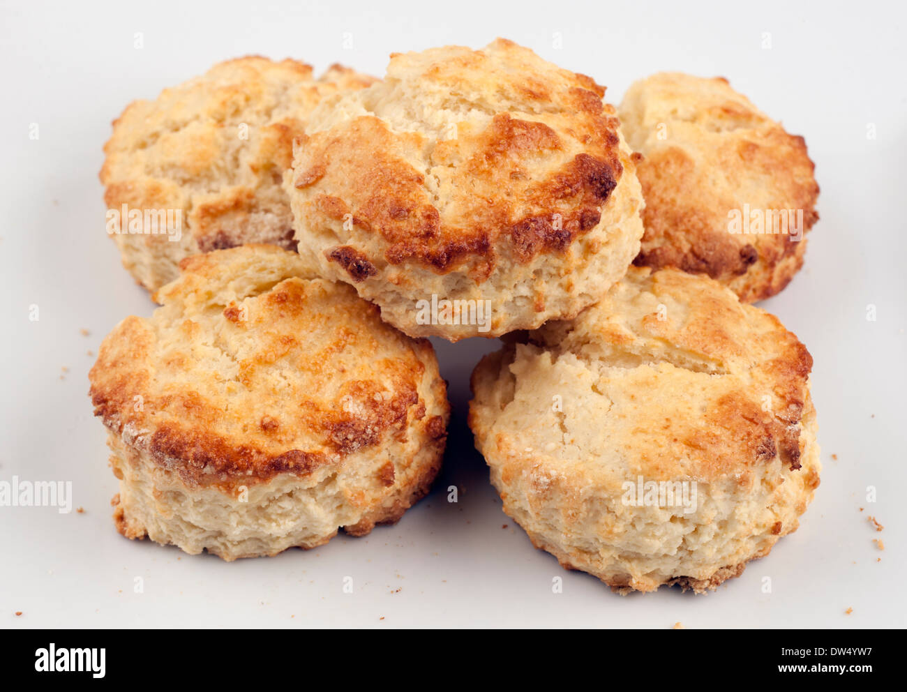 Five homemade plain scones Stock Photo
