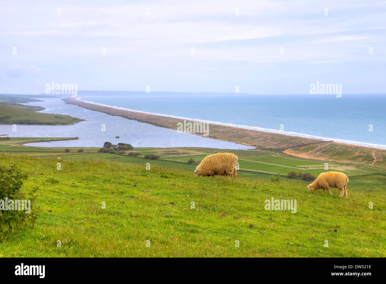 Chesil Beach fleet Abbotsbury Stock Photo Alamy