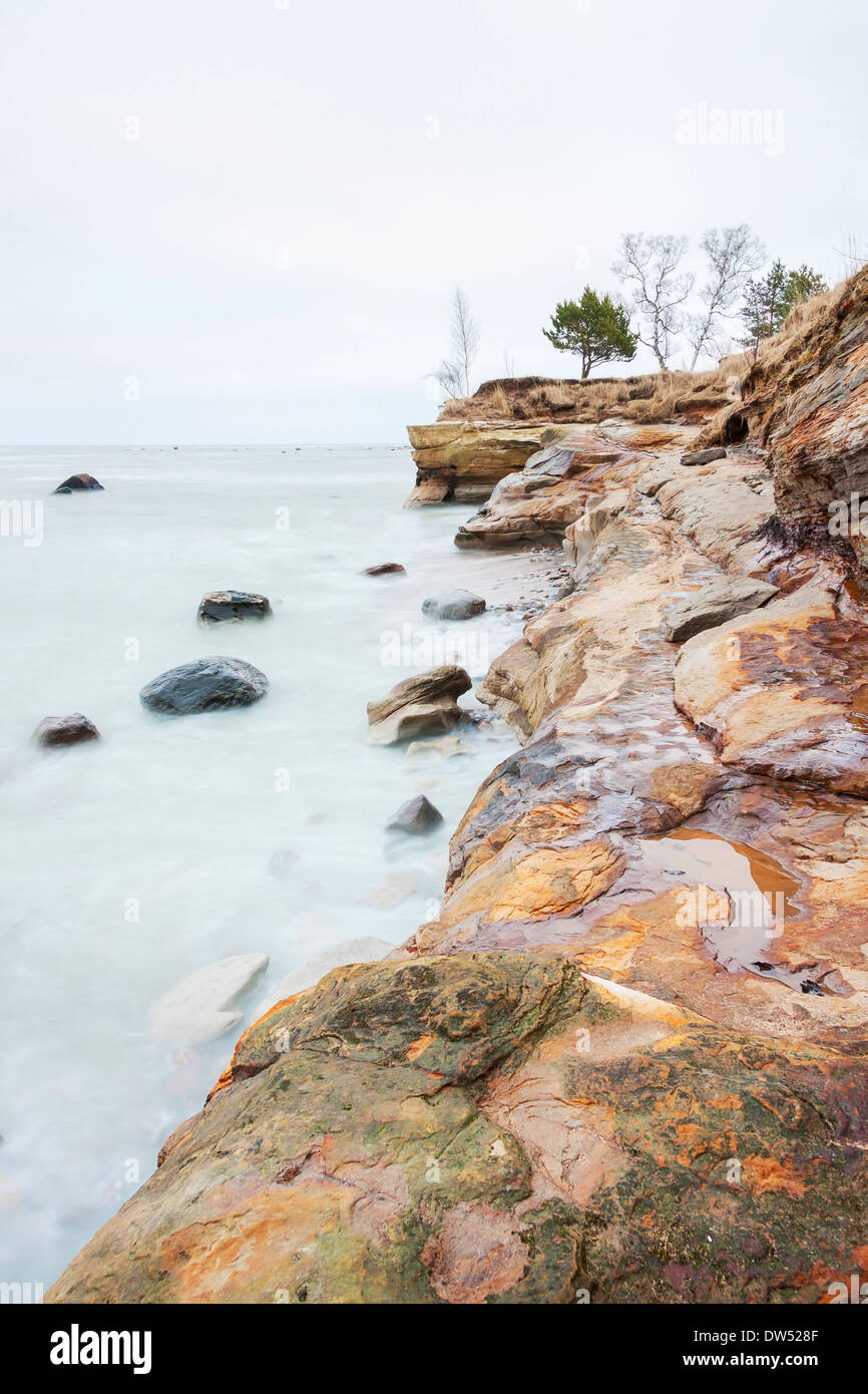 Tree cliff sea hi-res stock photography and images - Alamy
