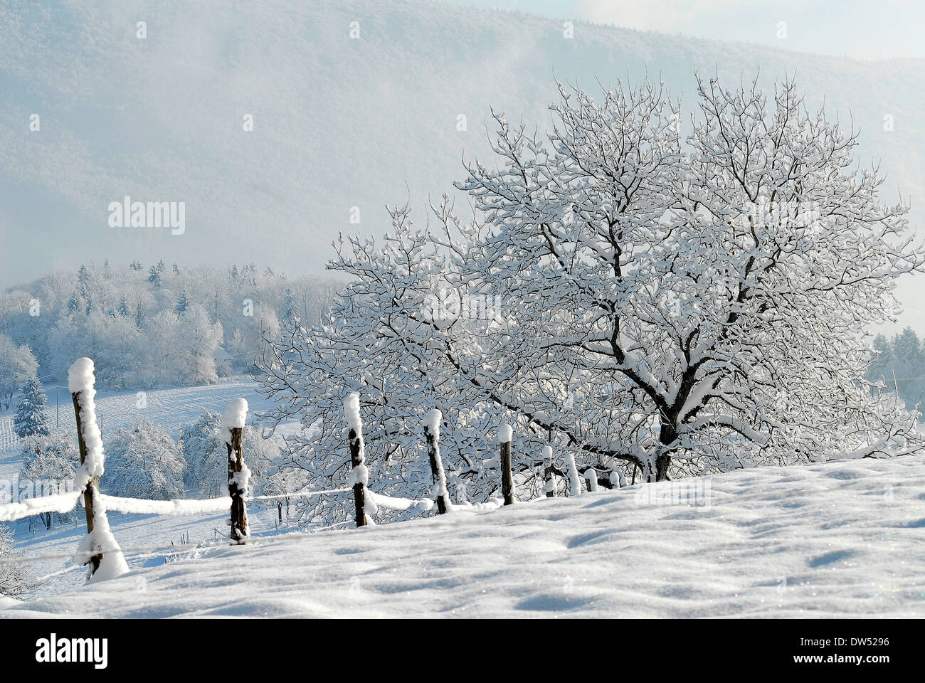 Winter in Savoie Stock Photo Alamy