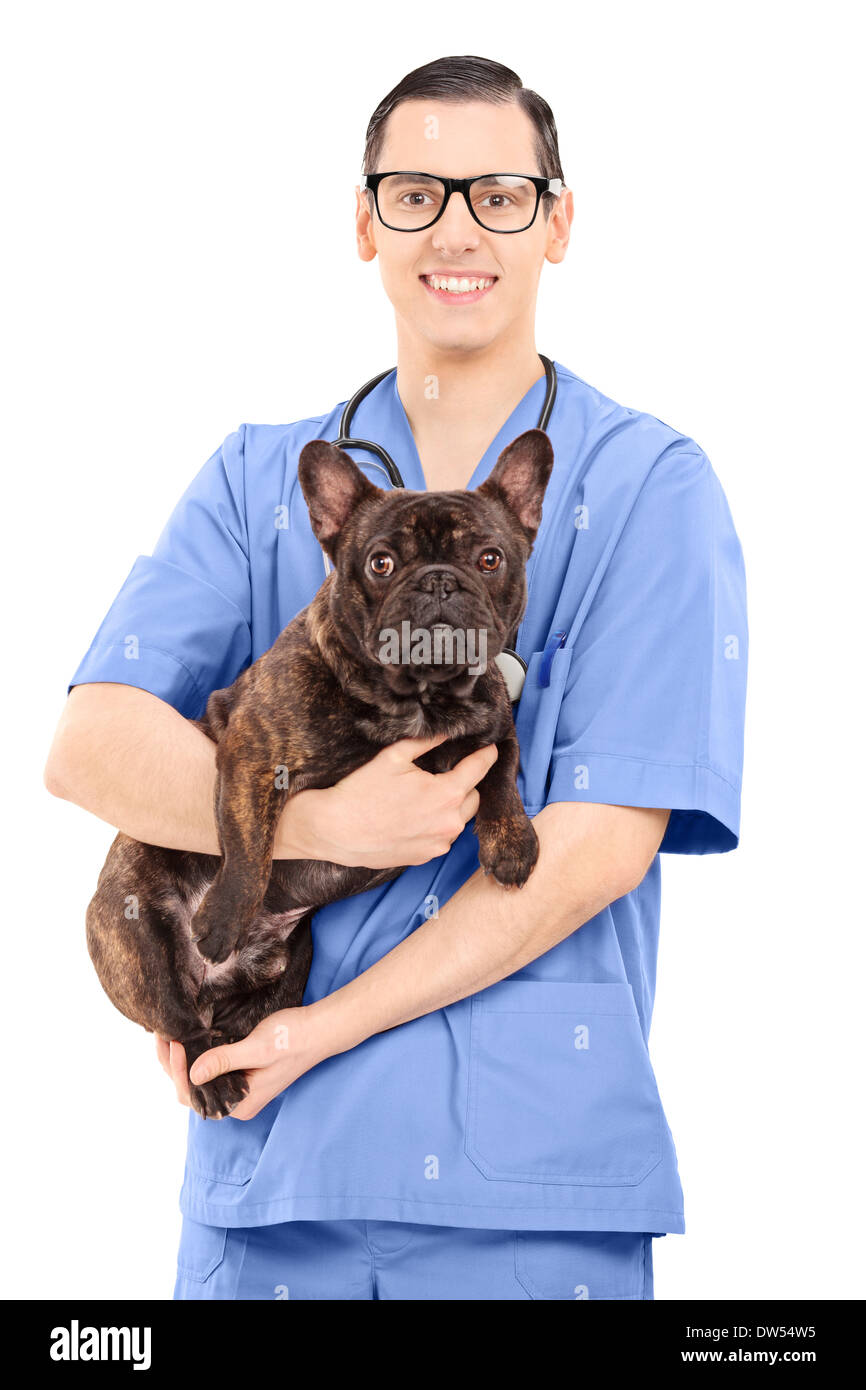 Vet male dog hires stock photography and images Alamy