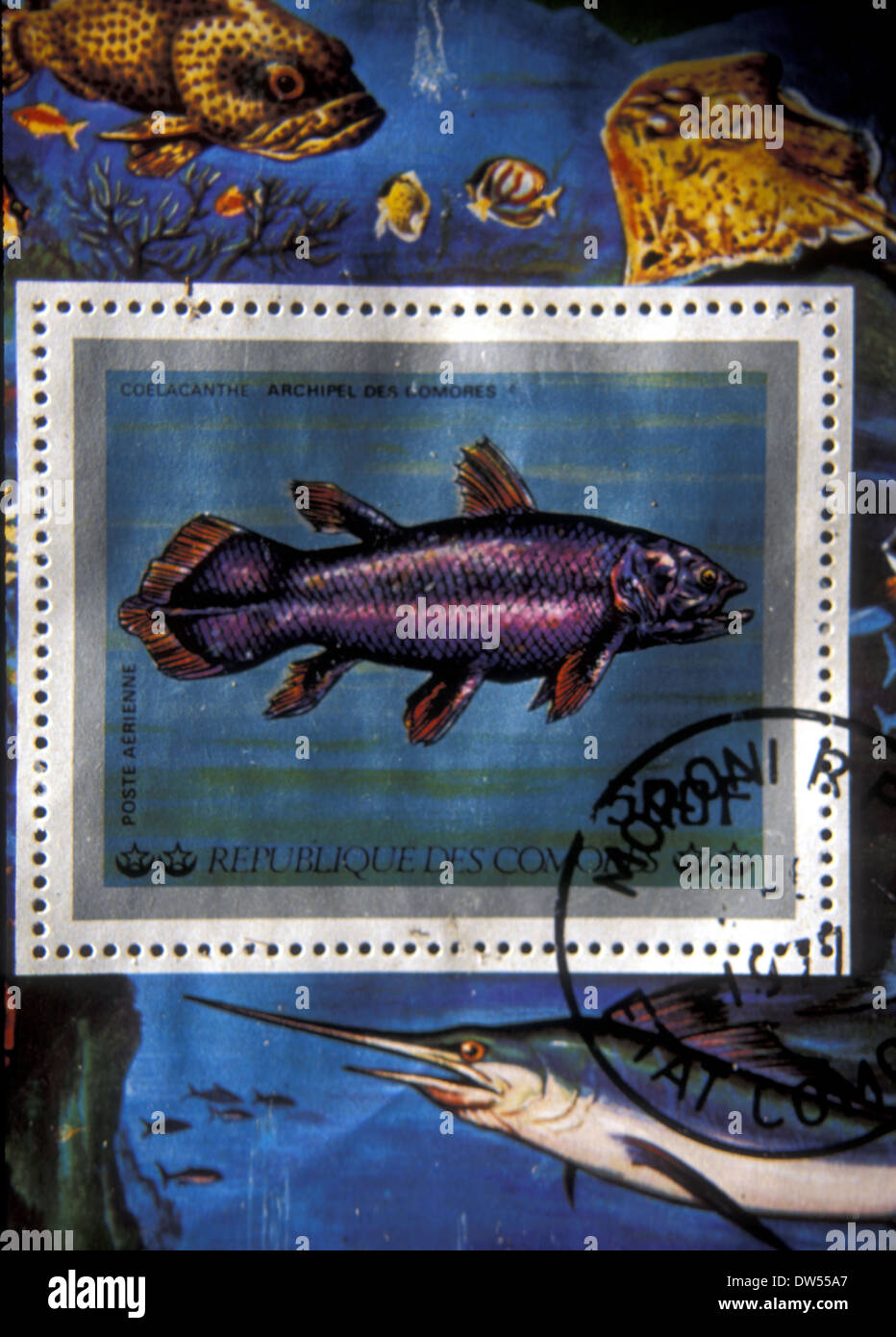 Commemorative postage stamp from the Comoros Islands featuring the coelacanth or prehistoric fish re-discovered off South Africa in 1938, Stock Photo