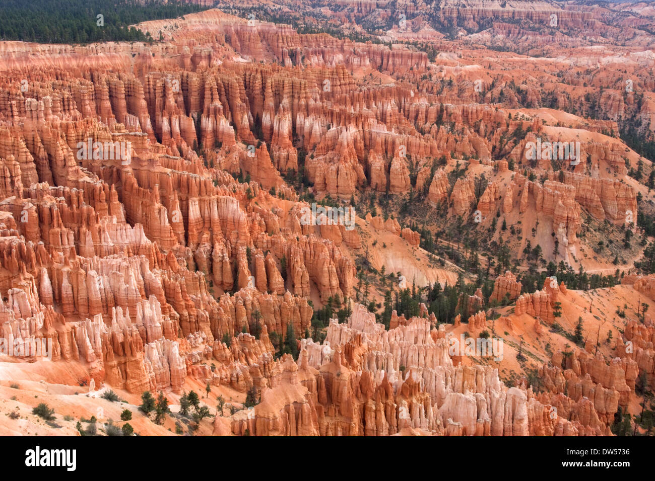 Bryce Canyon, Utah Stock Photo