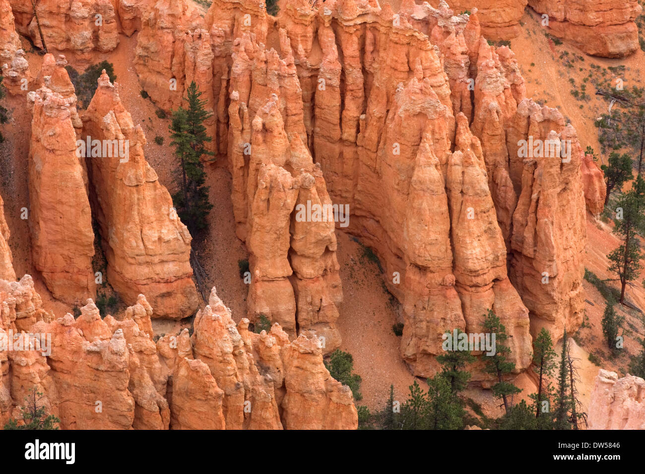 Bryce Canyon, Utah Stock Photo
